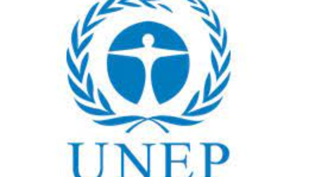 Interpreter Vacancy Job Ref: VACUNEP4477-30
