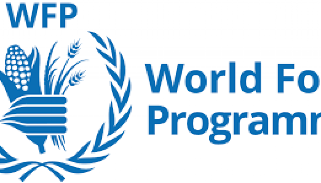 Procurement Assistant SC5 Vacancy Job Ref: VACWFP4477-12